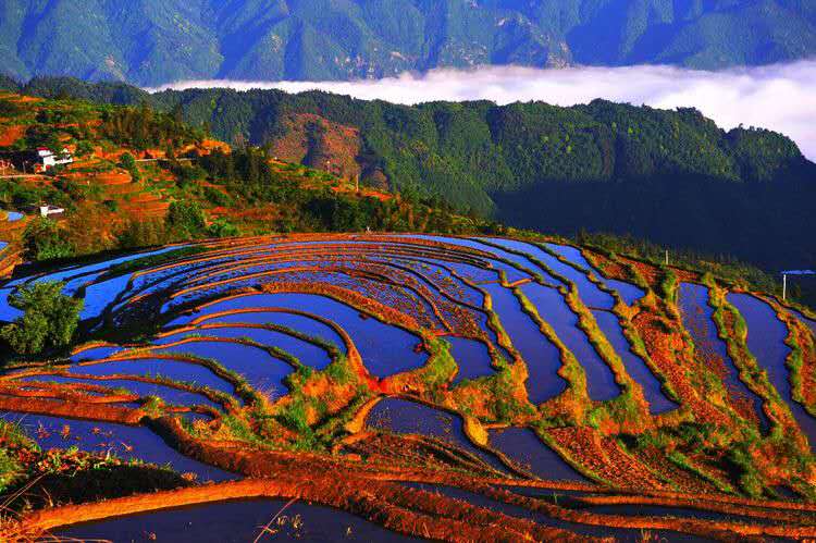 山背梯田