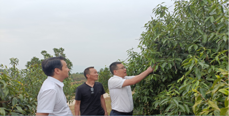 溆浦县科技局：走访优服务 助企添动能