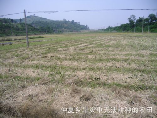 c6c3940be6ac6b09559104857c83d61a.jpg
