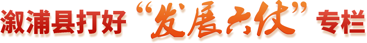 溆浦县打好“发展六仗”专栏