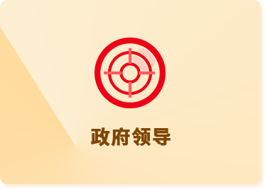 政府领导