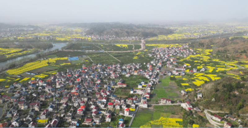 水东镇银湖村开展人居环境整治助力乡村美丽蝶变