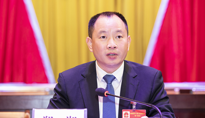 县委副书记,县长杨廉喜,县领导